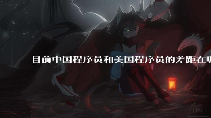 目前中国程序员和美国程序员的差距在哪里？