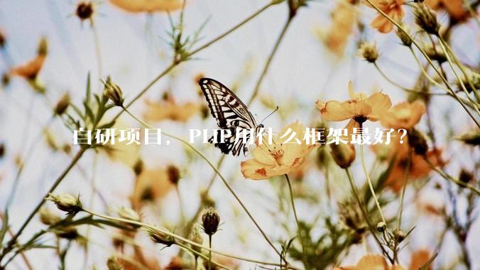 自研项目，PHP用什么框架最好？