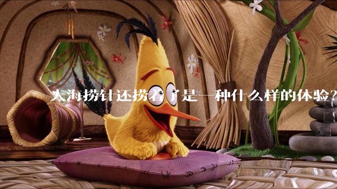 大海捞针还捞着了是一种什么样的体验？