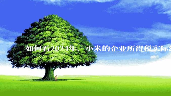 如何看2024年，小米的企业所得税实际纳税额超过华为？