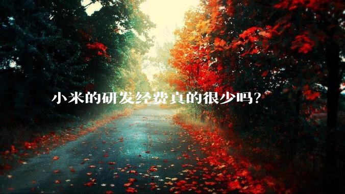 小米的研发经费真的很少吗？