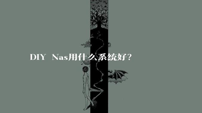 DIY Nas用什么系统好？