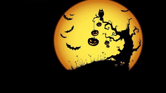 怎么学习前端开发？求推荐学习路线？